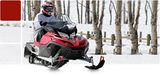 двухтактное моторное масло petro-canada snowmobile Motor Oil (1л)