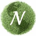 Реклама в сети Netelectro