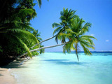 Sun Travel-Туристическое агенство