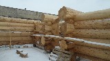 Рубка срубов из бревна любой сложности
