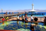 Яркий отдых на Красном море - Эйлат