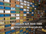 Морёный дуб - Bog Oak - Скидка 50%