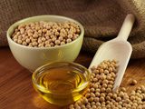 Продаю соевое масло оптом