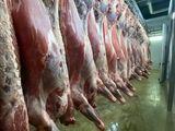 Продам мясо говядины (бык) оптом