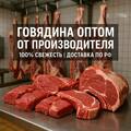 Оптовая продажа мяса говядины