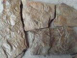 Камень Дракон природный песчаник натуральный пластушка