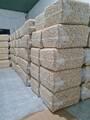 Wholesale cashew nuts supplier
