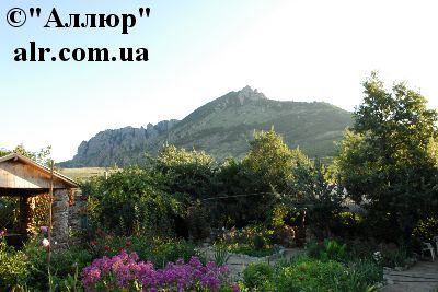 Увлекательные путешествия сменяющие друг друга, в промежутке между кот