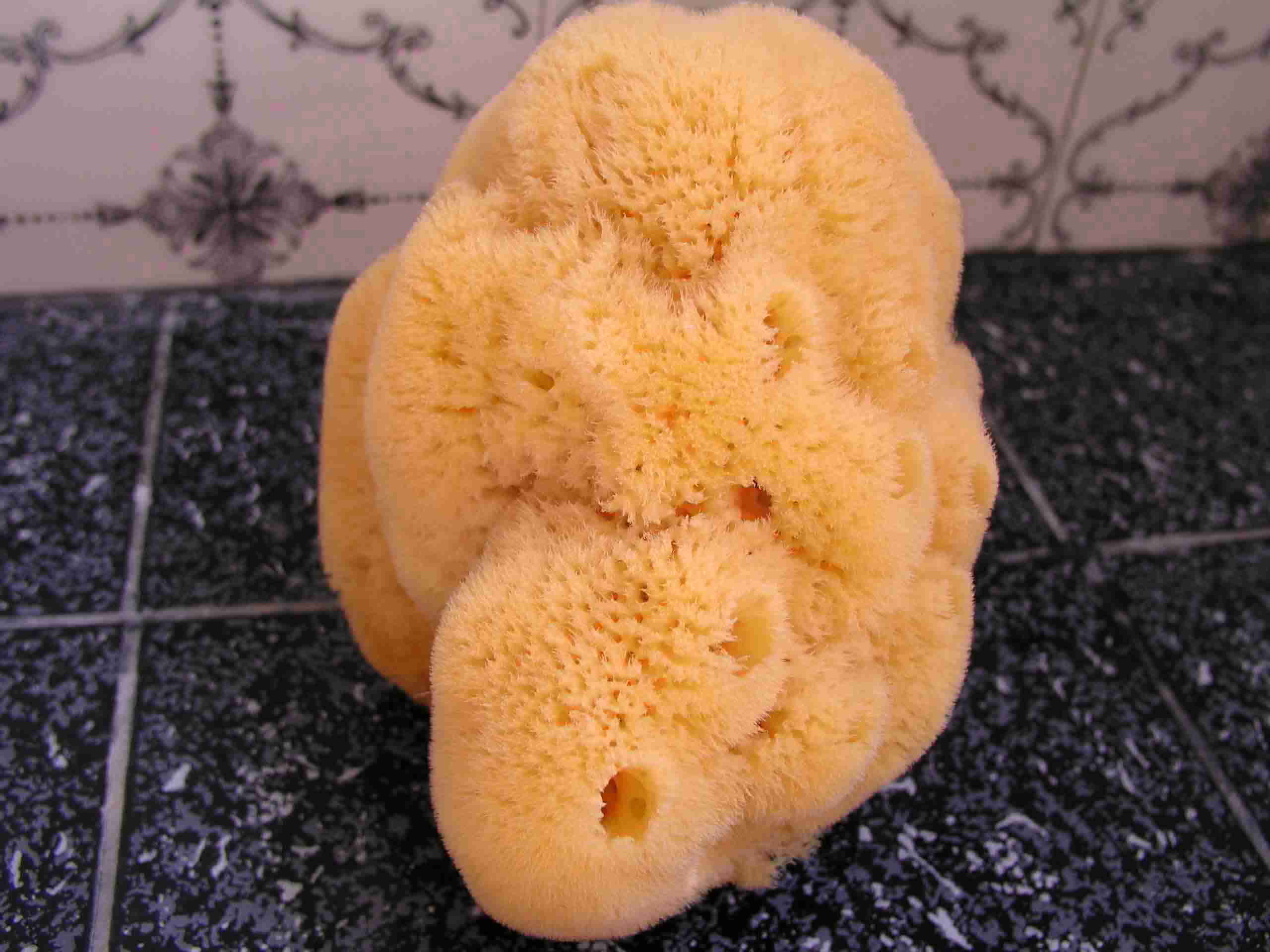 ГУБКУ МОРСКУЮ НАТУРАЛЬНУЮ