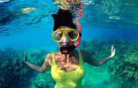OOO " Mak-travel " минимальные цены