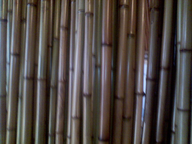 Продаю стволы бамбука