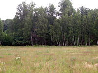 Участок  25 сот  под застройку