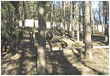 Земельные участки для строительства жилого дома во Всеволожском р-не