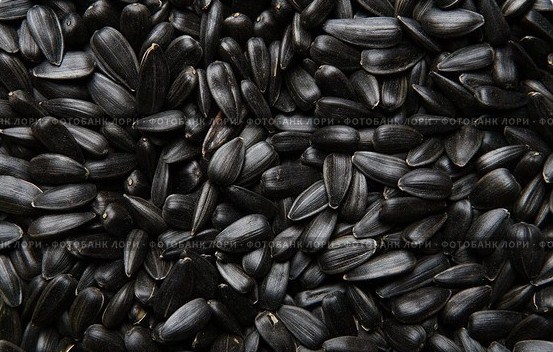 Семечка подсолнечника  (масличность 48%-52%)