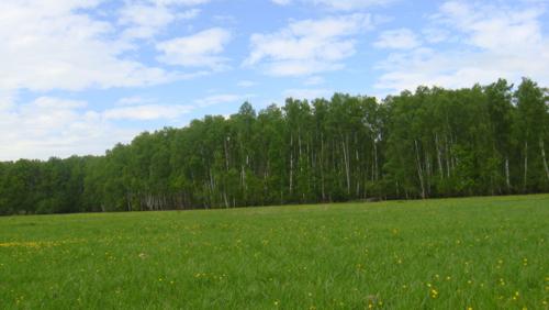 Продаю участок 10 соток по Симферопольскому шоссе в 80 км от МКАД.