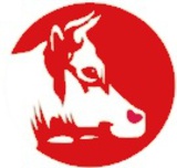 мясо оптом баранина говядина свинина конина