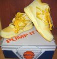 Reebok the pump basketball