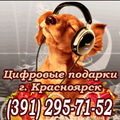 Наушники, Подарки, Фоторамки, Флешки (391) 295-71-52