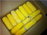 Кукуруза замороженная в початках (Венгрия)