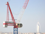 башенные краны Raimondi Cranes