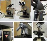 Микроскоп STUDAR EB3IL1 (Польша) всего за 9000 руб...