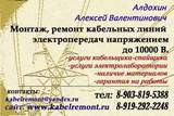 Технический отчет по электроизмерениям,испытаниям  электрооборудования