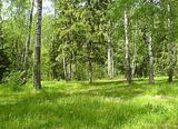 Продаётся участок на Озёринском водохранилище.