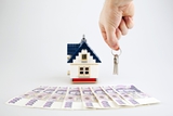 Купля-продажа недвижимости, строительство, управление бизнесом в Чехии